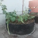 Fabric Raised Beds (Round)3.webp
