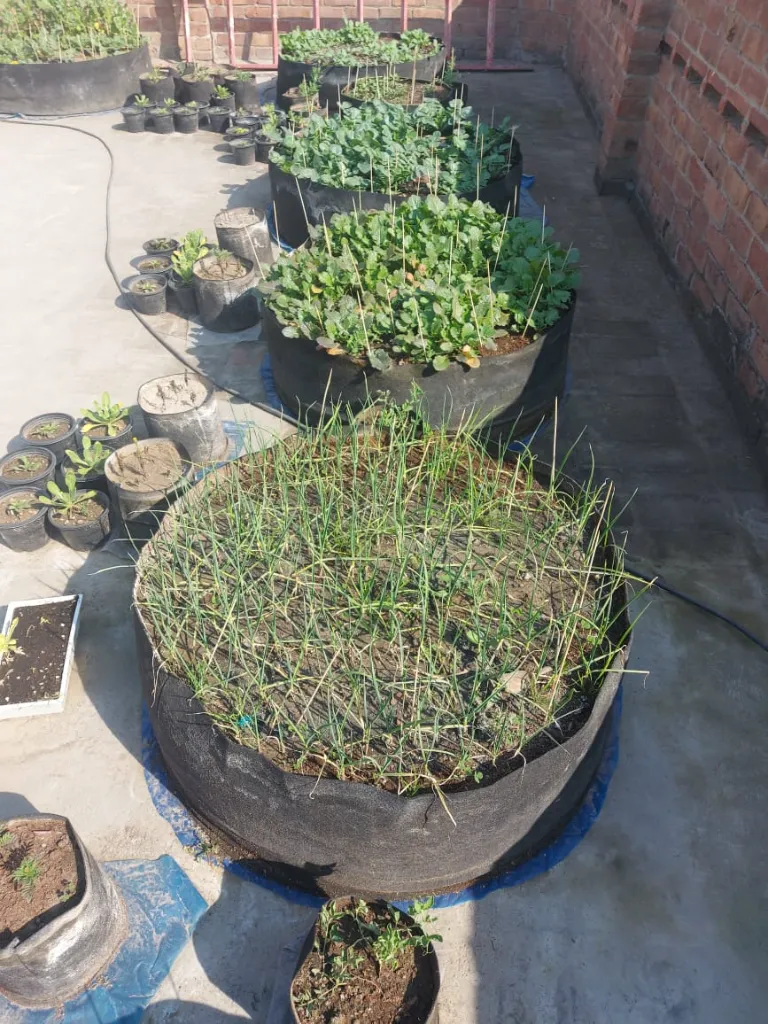Fabric Raised Beds (Round)2.webp