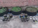 Fabric Raised Beds (Round)