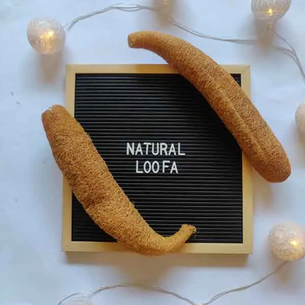 Natural Loofa
