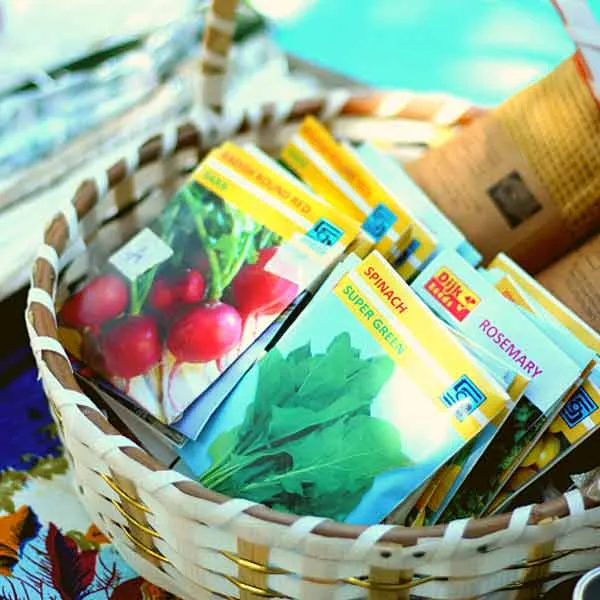 Seed Bundles (all time favourite)